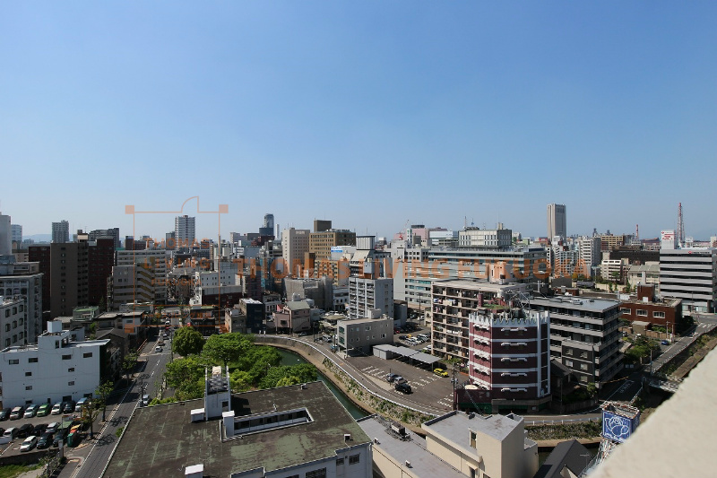 シグナス 眺望