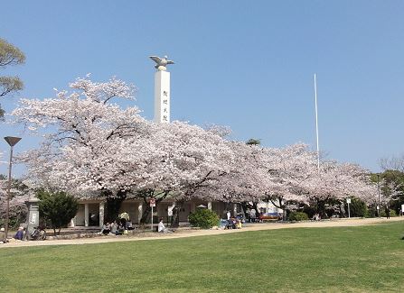 クローリス仙水 夜宮公園