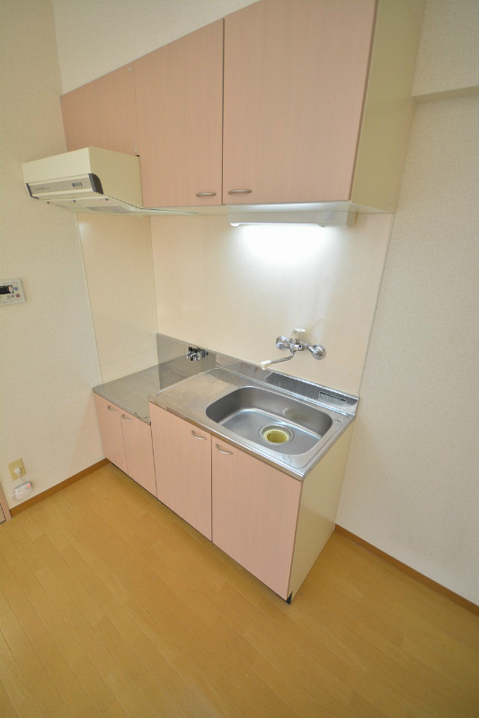 ウイングス片野 Ⅰ 調理スペースも十分にとられていますね。