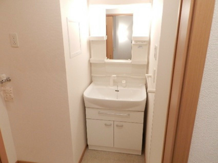 Sone Apartment　Ｂ棟 ※別号室の画像です。シャンドレあります。