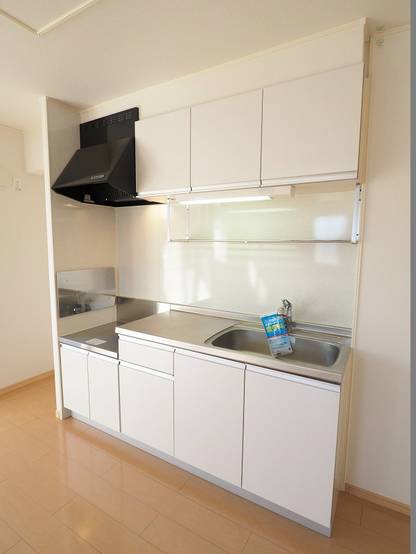 フレグランス B棟 シンクも大きめ！あえてカウンターにしない広さ重視のお部屋。