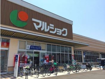 フェリスⅡ  ﾏﾙｼｮｸ 曽根店