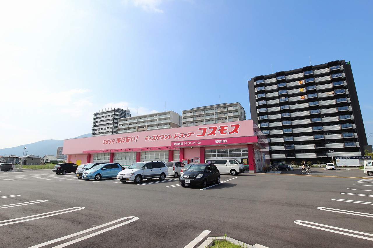 ソレイユハイム上吉田　C棟 ﾃﾞｨｽｶｳﾝﾄﾄﾞﾗｯｸﾞｺｽﾓｽ 曽根北店