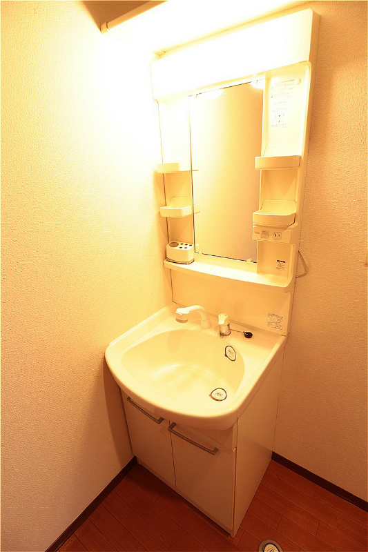 咲ら坂Hi！　I棟  忙しい朝もシャンプードレッサーで楽チンです
