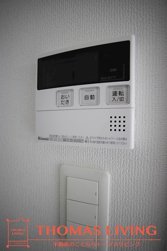 ラファエロ その他