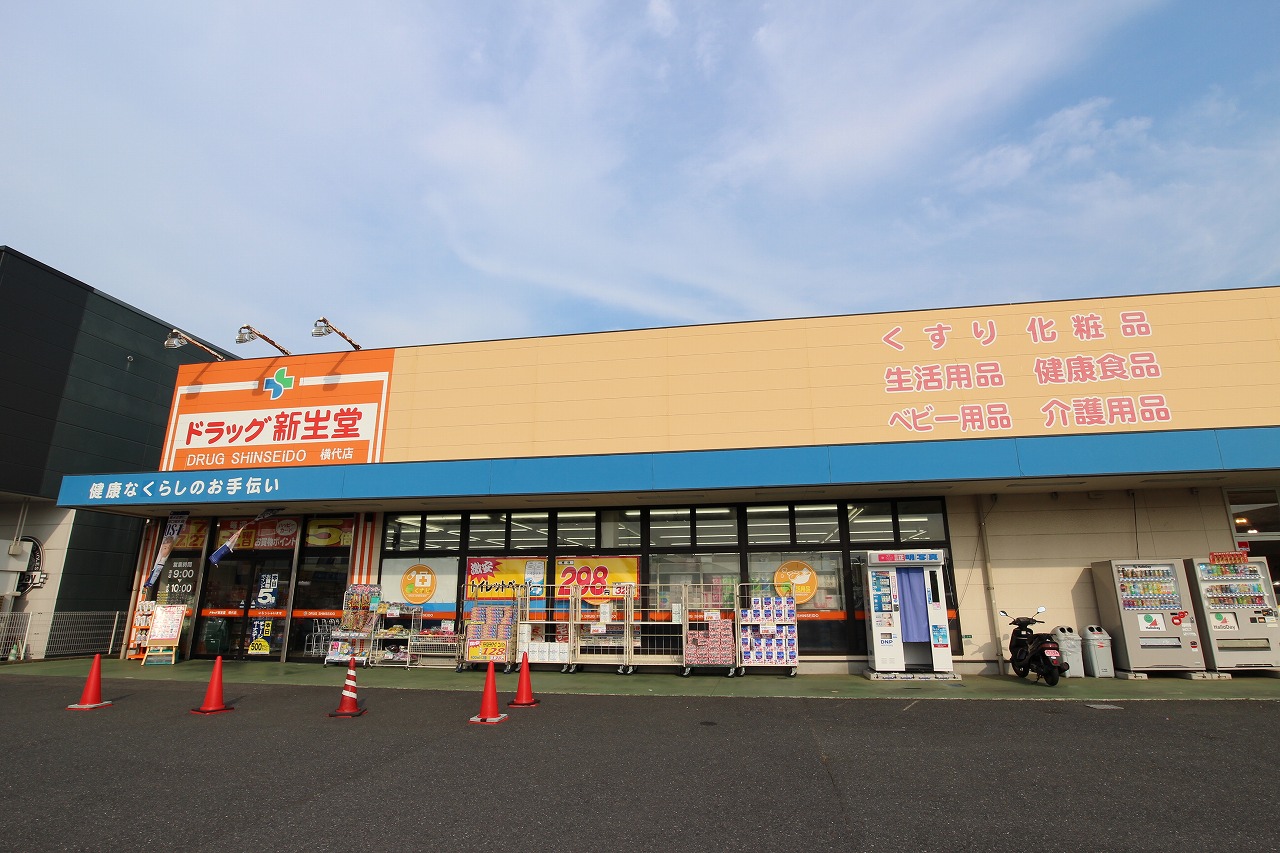 愛メゾン  ﾄﾞﾗｯｸﾞ新生堂 横代店
