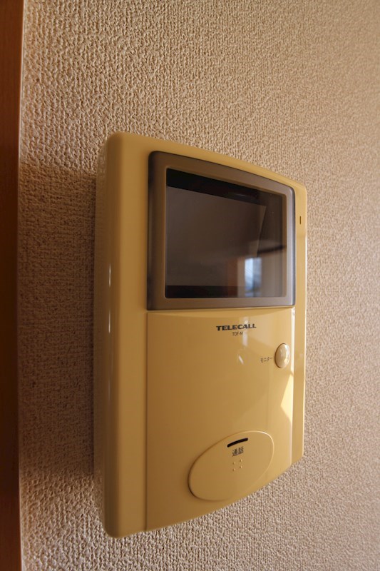 クリスマスローズ  ※別号室の写真です。来訪者の顔が見えるので安心ですね！