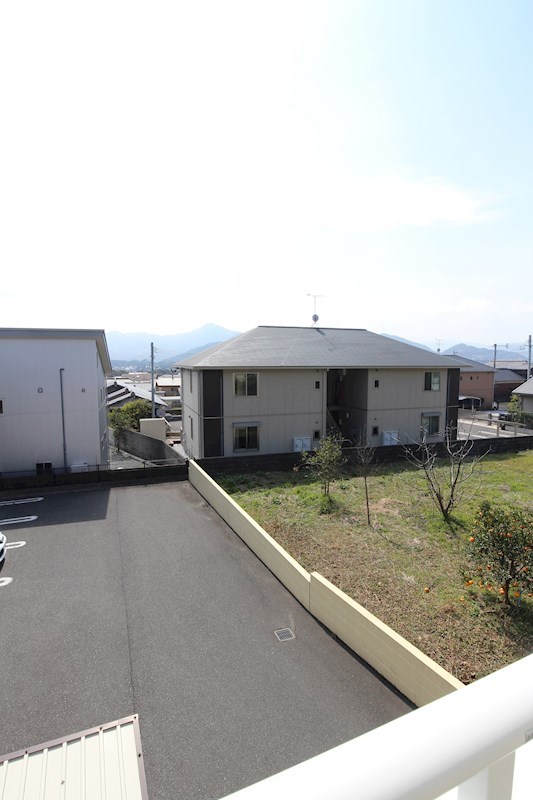 クリスマスローズ  ※別号室の写真です。