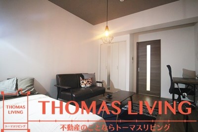 メディプラカーサ  その他