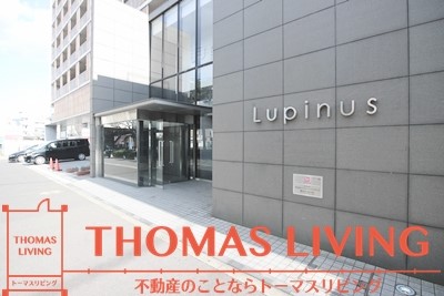 ルピナス守恒 外観