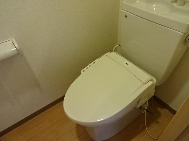 サザン・クロス ※写真はサンプルです。