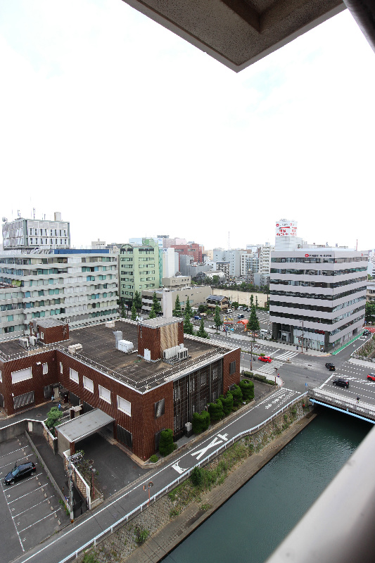 アーリントン  眺望