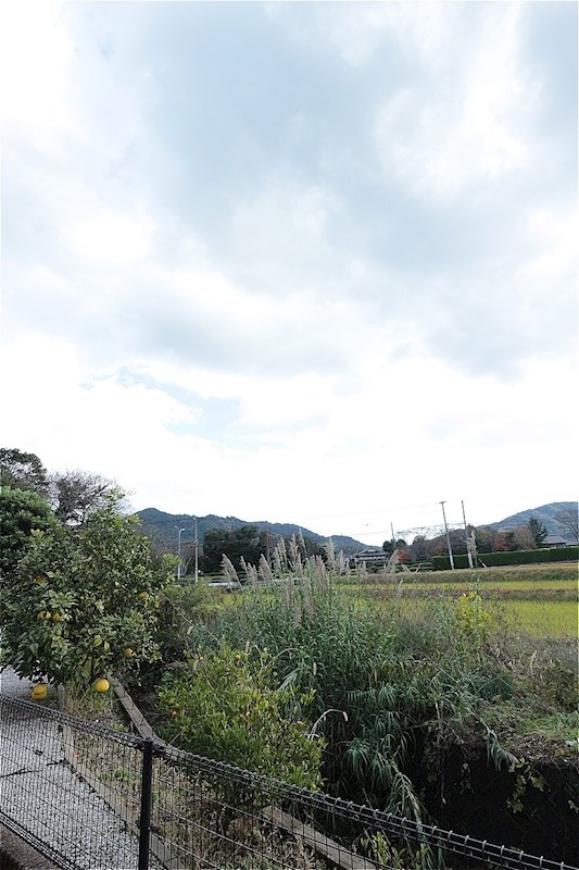 ダンケ吉志 ※参照※別の部屋の写真になります。