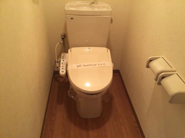 プルメリア ※写真はサンプルです。