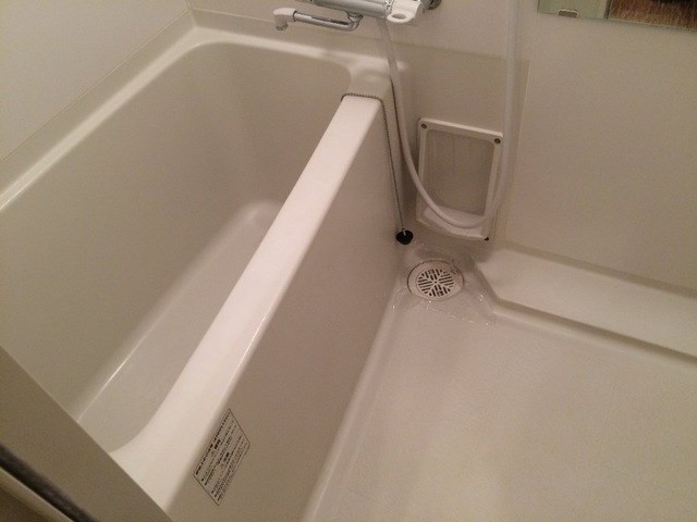 プルメリア ※写真はサンプルです。