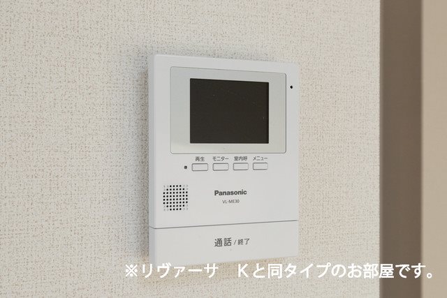 コスモス　E ※サンプル画像です。