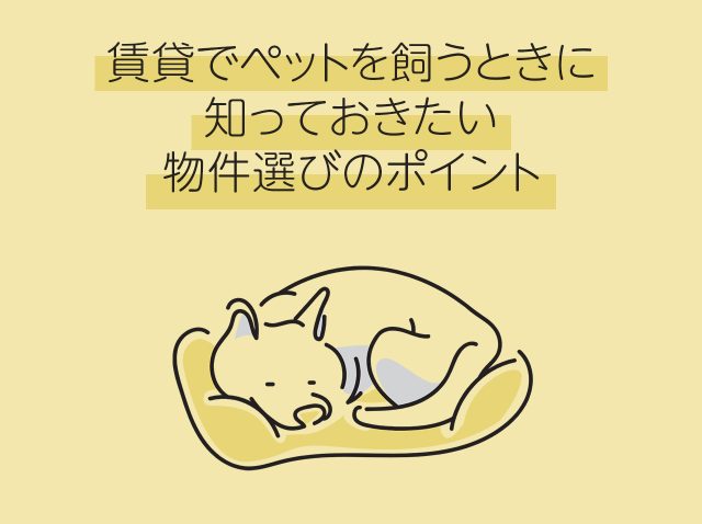 賃貸でペットを飼うときに知っておきたい物件選びのポイント