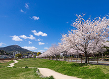 八幡東区エリア