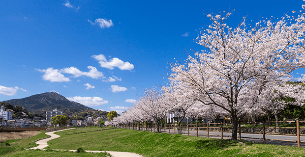 八幡東区エリア